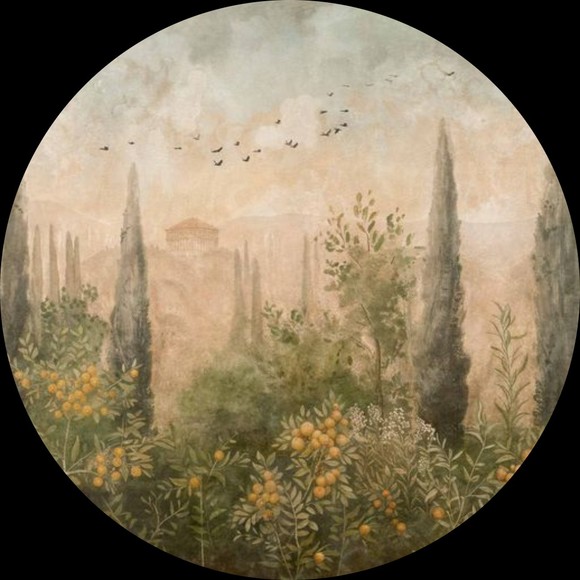 sophial3126